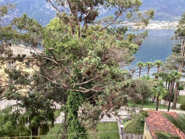 Wonderful Lake Front Appartment Near Bellagio Limonta Exterior foto